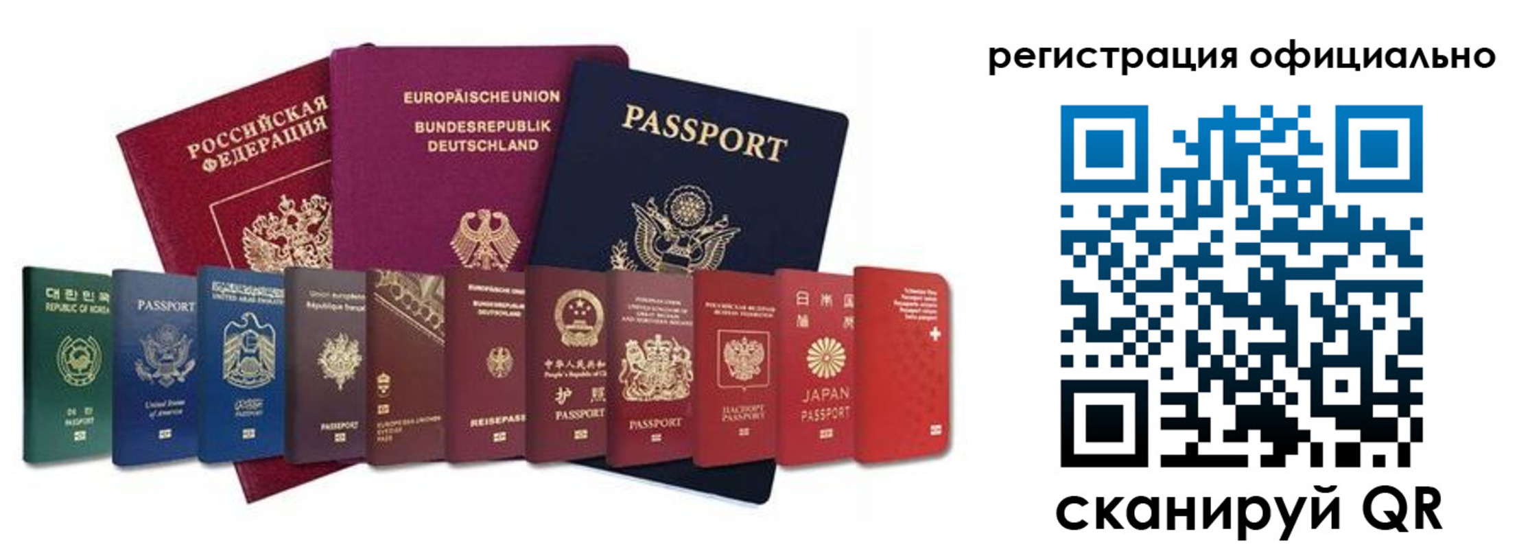 купить прописку в Коле
